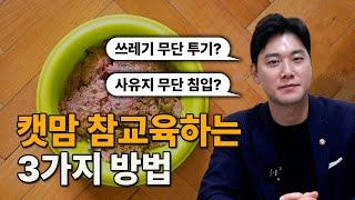 캣맘 참교육하는 3가지 방법 OOO은 절대 건들지마세요.