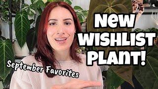 CAN YOU BELIEVE THIS?!?  top 5 favorite plants of September 2024  Wishlst Plant Reveal!!