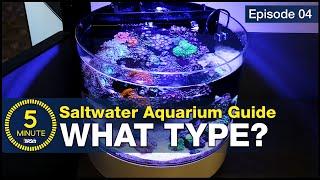 Get past the debate. Sump, Hang-on or AIO (all in one) Which type of aquarium should you choose?