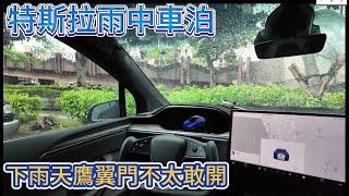 特斯拉雨中車泊 下雨天鷹翼門不太敢開