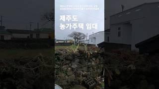 제주도 농가주택 임대