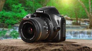 Best Budget Nikon Cameras in 2020