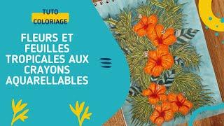 Tuto Coloriage : Fleurs et feuilles tropicales aux crayons aquarellables