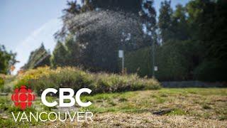 Metro Vancouver implements Stage 2 water restrictions