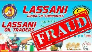 Lasani Chicks And Chicken Company || Golden Misri Farming In Pak ||Golden Misri Poultry Farming