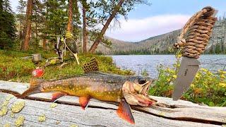 MOUNTAIN Trout Fishing & SOLO Camping!!! (Catch & Cook)