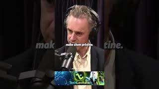 2023 Motivation: Jordan Peterson says SCREW your Margaritas! 