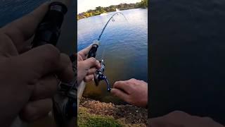 What is it? - Ultralight Fishing #ultralightfishing