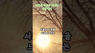 고마운 당신께 보내는 아침편지 부처님말씀|마음챙김|마음치유|인간관계|아침수행|불교오디오북