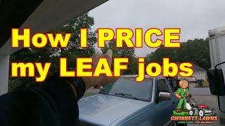 How I PRICE & approach leaf cleanup jobs