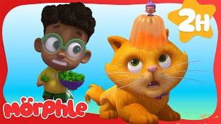 Teeny Tiny Picnic Problem | Morphle the Magic Pet | Preschool Learning | Moonbug Tiny TV