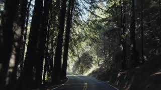 4/20/2021 - 420 Cannabis Adventure Tour to Mendocino County - Full Day Cannatourism Experience