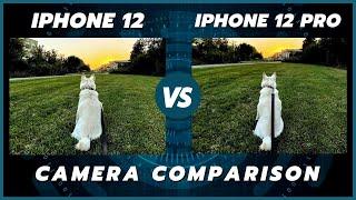 iPhone 12 vs 12 Pro Camera Comparison