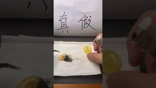 【琥珀 蜜蜡 直播】 天然匠心精品缅甸 琥珀 蜜蠟 蜜蜡 藏品 ｜ 琥珀直播 蜜蜡直播 蜜蠟直播 ｜ 琥珀教学 蜜蠟教學 蜜蜡教学｜ Burmese amber ｜ 緬甸天然 #琥珀 #蜜蜡 #蜜蠟