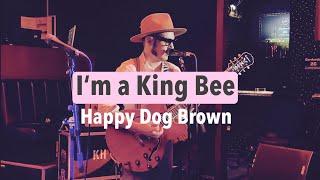 Happy Dog Brown - I‘m a King Bee (Slim Harpo) | Speiches R&B Stage