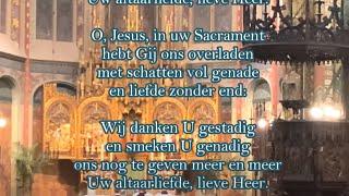 TRADITIE ZINGT: In het heilig Altaarsacrament