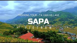 Sapa  Vietnam [4K] | Ta Van Village Trekking Tour | Best Places to Visit in Vietnam | Travel Vlog