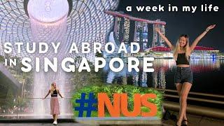 STUDYING ABROAD IN SINGAPORE - A WEEK IN MY LIFE (NUS EXCHANGE STUDENT)