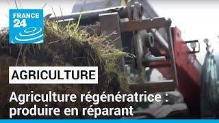 Agriculture régénératrice : produire en réparant • FRANCE 24