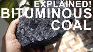 How coal is formed - Practically demonstration!