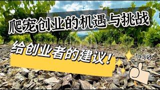 爬寵創業的機遇與挑戰，給創業者的建議！