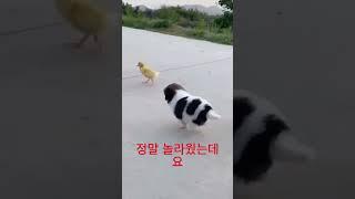 남건우