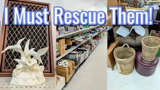  I MUST RESCUE THOSE FROM GOODWILL! | THRIFTING & MY UNIQUE GIFT FINDS! 2024