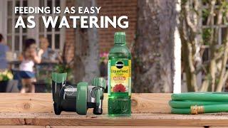 How to Use Miracle-Gro® LiquaFeed® Universal Feeder to Feed Your Garden & Landscape