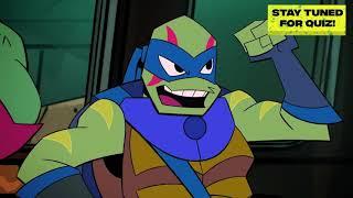 Turtle Species [rottmnt]