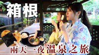 [CC: Eng Sub] Travel with me to HAKONE Japan  Private Onsen and Ryokan️