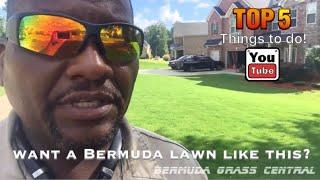 Want a Bermuda Lawn like this? Top 5 Tips