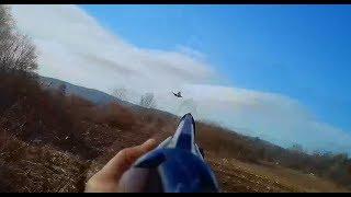 Pheasant Hunting In Romania, with Norbert Simon V186