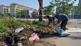 What makes an OVERGROWN SIDEWALK exist in this PROSPEROUS place but no one cleans it up?