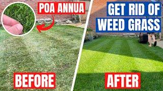 How to REMOVE WEED GRASS from your LAWN - It’s time to take back CONTROL!