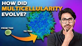 MULTICELLULAR LIFE KAISE EVOLVE HUYI? | Evolution demonstrated in the lab | Arpit Explains