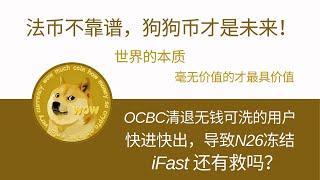 法币不靠谱，狗狗币才是未来！OCBC清退用户的真实影响，快进快出会导致N26账户冻结，iFast还有救吗？熊猫速汇 | 特朗普 | 马斯克 | 狗狗币 | DOGE | 特斯拉 | TSLA