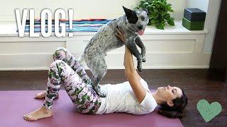 Yoga Q&A + Personal Stuff + Puppy!