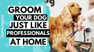 How to GROOM your dog at home like a Professional in this Lockdown. || Monkoodog