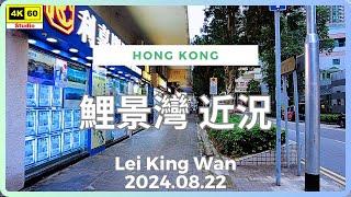 鯉景灣 近況 4K | Lei King Wan | DJI Pocket 2 | 2024.08.22