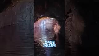 자연휴양림 #동굴#휴식 #1분힐링 #힐링 #장령산 #숲속동굴