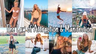 THE LAW OF ATTRACTION: How I've Manifested Everything in My Life So Far