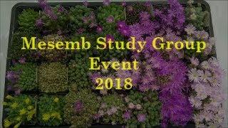 Mesemb Study Group Event 2018