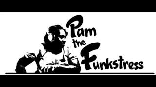 PAM THE FUNKSTRESS EPK