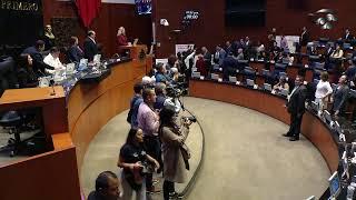 Sesión vespertina de la Cámara de Senadores, del 28 de noviembre de 2024