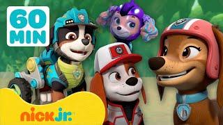 Paw Patrol - La Squadra dei Cuccioli | Incontra i NUOVI membri della PAW Patrol! | Nick Jr. Italia