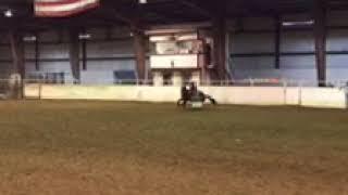 Teddy and 7 year old girl placing 2nd at Missouri Rodeo Finals