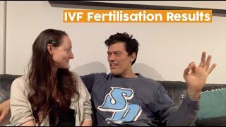 IVF Fertilisation Results | How many embryos did we make?