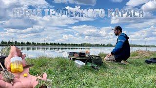 Время ТРОФЕЙНОГО карася | поисковый  FLAT FEEDER