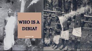 "What is a Dibia in Igbo Culture? Exploring the Definition and Significance in Traditional Society"