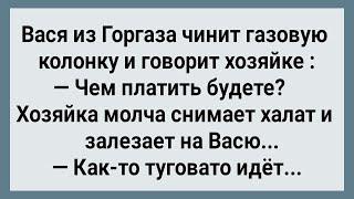 Как Вася из Горгаза за Работу Брал Натурой! Сборник Свежих Анекдотов! Юмор!